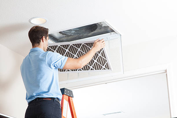 Best Solar-powered HVAC Systems in Johnstonville, CA